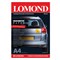 Бумага с магнитным слоем LOMOND глянцевая для струйной печати, А4, 2 л., 660 г/м2, 2020345 - фото 13764157