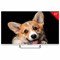 Телевизор TOPDEVICE TDTV32CS03H_WE, 32'' (80 см), 1366x768, HD, 16:9, SmartTV, Wi-Fi, Bluetooth, белый - фото 13764425