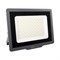 Прожектор Jazzway PFL-C3 100w - фото 14722185