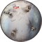 Затирочный диск для RD-PT1000G RedVerg 6632217 - фото 14746482