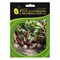 Семена ELITE PLANT-BREEDING & SEED PRODUCTION Co. ЭС - фото 14747229
