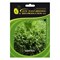 Семена ELITE PLANT-BREEDING & SEED PRODUCTION Co. ЭС мини - фото 14761354