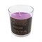 Свеча Волшебная страна Charm Aroma - фото 14765309