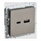 Розетка usb IEK Brite - фото 14797220