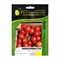 Семена ELITE PLANT-BREEDING & SEED PRODUCTION Co. ЭС мини - фото 14800729
