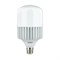 Высокомощная светодиодная лампа General Lighting Systems GLDEN-HPL-100ВТ-230-E27-6500 - фото 14801915