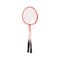 Набор для игры в бадминтон Ecos BS-01 - фото 14817148