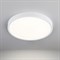 Стационарный светодиодный светильник ELEKTROSTANDARD DLS034 - фото 14817269