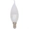 Светодиодная лампа General Lighting Systems 648900 - фото 14829797