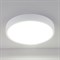 Стационарный светодиодный светильник ELEKTROSTANDARD DLS034 - фото 14839818