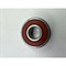 Подшипник TPI 6000 LLU-XC3/L542 -6000-LLU-XC3 - фото 14865326
