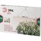Квантум борд ЭРА FITO160WLEDQB Quantum board - фото 14914754
