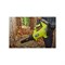 Воздуходувка Ryobi ONE+ RY18BLXD-150 - фото 14952670