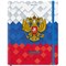 Дневник 1-11 класс 48 л., твердый, BRAUBERG, матовая ламинация, резинка, закладка-ляссе, с подсказом, "Герб", 107238 - фото 14996477