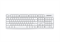 Клавиатура проводная Dareu LK185 White (белый), мембранная, 104 клавиши, EN/RU, 1,8м, размер 440x147x22мм - фото 15029387