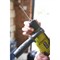 Ударная дрель Ryobi RPD680K - фото 15097689
