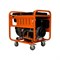 Дизельный генератор LIFAN DG8000EA - фото 15639865