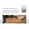 Пропитка для защиты древесины Dufa Wood Protect - фото 15713749