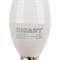 Светодиодная лампа Gigant G-E14-5-2700K - фото 15741511