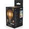 Лампа GAUSS LED Filament G95 E27 6W Golden 2400K - фото 15747833
