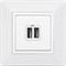 Двойная USB розетка Legrand Valena Life - фото 15834766