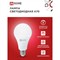 Светодиодная лампа IN HOME LED-A70-VC - фото 15836252