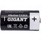 Батарейка Gigant Alkaline C/LR14 - фото 15847638
