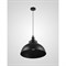 Подвесной светильник Мелодия Света PS3479-1 BK - фото 15874426