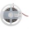 Светодиодная лента Gigant G-HT24V-12W-6500K - фото 15930490