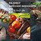 Решетка-гриль для овощей Forester BQ-N18 - фото 15994097