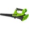 Аккумуляторный воздуходув GreenWorks 2400807USB4 - фото 16025312
