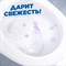 Чистящее средство для унитаза Туалетный утенок “Антиналет - фото 16051374