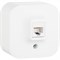Информационная одинарная розетка Legrand Quteo - фото 16084907
