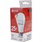 Светодиодная лампа IN HOME LED-A65-VC - фото 16093103
