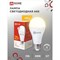 Светодиодная лампа IN HOME LED-A65-VC - фото 16122951