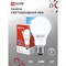 Светодиодная лампа IN HOME LED-A60-VC - фото 16265005
