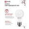 Светодиодная лампа IN HOME LED-A60-VC - фото 16272781