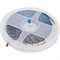 Лента светодиодная General Lighting Systems GLS-2835-240-19.2-12-IP20-6 - фото 16284841