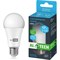 Лампочка светодиодная ALTECH Р60-17W-865-E27 - фото 16312558