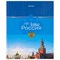 Дневник 1-4 класс 48 л., твердый, BRAUBERG, глянцевая ламинация, с подсказом, "Российский", 106832 - фото 16561828
