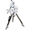 Монтировка Sky-Watcher EQ6-R SynScan GOTO - фото 16781250