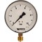 Радиальный манометр Watts F+R250 - фото 16782728