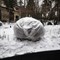 Зимнее укрытие для цветущих кустарников Агротекс 32.01.74.01.01.100.1600.0010.00 - фото 16904624