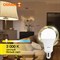 Светодиодная лампа OSRAM LED BASE CLASSIC - фото 16914858