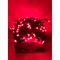 Светодиодная гирлянда GLQ GLQ -102R-5M-50-R - фото 16924316