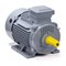Общепромышленный электродвигатель ESQ PR 132 M4 GST-Б1-S12-IE2 - фото 16934188