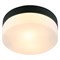 Потолочный светильник Arte Lamp A6047PL-1BK - фото 16993129