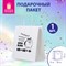 Пакет подарочный (1 штука) 26х13х32 см (L) "Сколько?", крафт, ЗОЛОТАЯ СКАЗКА, 700856 - фото 17217068