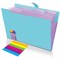 Папка-органайзер на кнопке 5 отделений, BRAUBERG "Extra", А4, голубая с лиловым, 274099 - фото 17273097