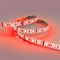 Светодиодная лента ELEGANZ EL-SS-14RGB - фото 17295296